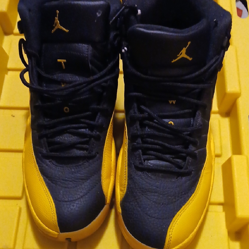 Mens Jordan 12s Size 9.5